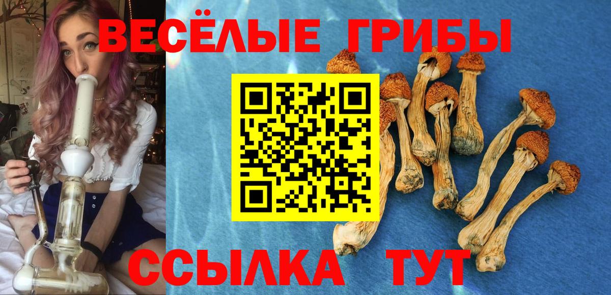 Псилоцибиновые грибы Magic Shrooms Зерноград
