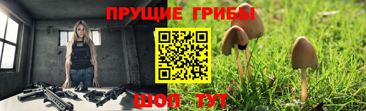 Галлюциногенные грибы прущие грибы  Вход с VPN  Зерноград 